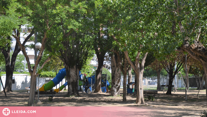 L’Ajuntament de Mollerussa rep set propostes per transformar i modernitzar el parc municipal 