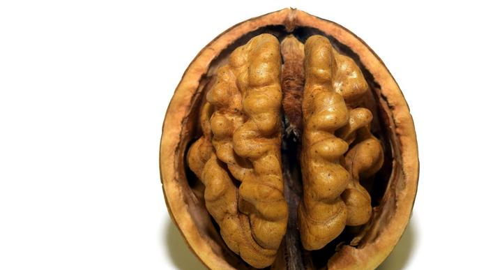 Psiconeuronutrició, el concepte psicológic de l'alimentació