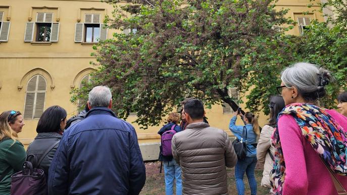 Una vintena de persones coneixen els arbres de Lleida i la contribució que fan a la biodiversitat