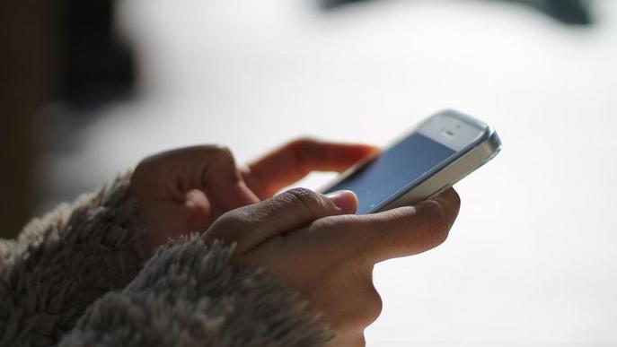 Llibertat provisional per al bibliotecari del Gili Gaya que enviava fotos sexuals a alumnes