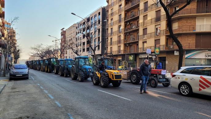 ⏯️ Tractorada a Lleida contra la plaga de conills: "Roseguen el nostre futur i el menjar de tots"