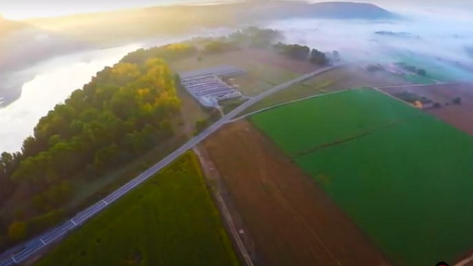 El Departament d'Agricultura prorroga els ajuts adreçats als productors agraris 