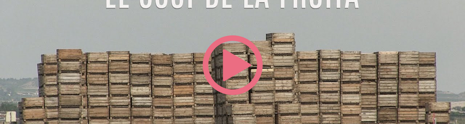 Documental 'El cost de la fruita' Clara Barbal i Pablo Rogero 