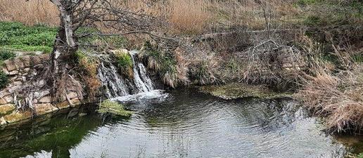 Les peixeres de la Vall del Corb