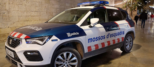 Detingut un jove per cinquena vegada en un mes per diversos robatoris a Lleida