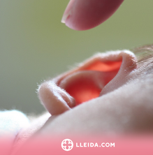 Infeccions d'oïda: com prevenir-les i tractar-les