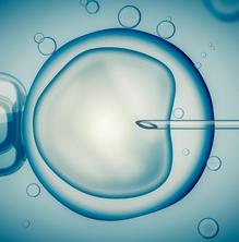 En què consisteix i com d'eficaç és la inseminació artificial?