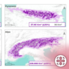 Canvi climàtic: arbres a major altitud en quatre serralades europees, segons un estudi de la UdL
