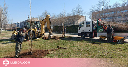 Planten 60 xops al parc del Segre de Lleida i inicien un procés de regeneració de la zona