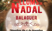 Encesa de llums de Nadal i estrena pista de gel | Balaguer