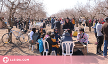 ⏯️ Centenars de persones s'apleguen als camps d'ametllers d'Arbeca, que presenten una floració a mitges