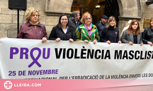 Lleida commemora el Dia Internacional per a l'eliminació de la violència contra les dones