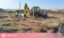 Balaguer reprèn les excavacions al Pla d'Almatà