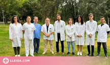 Becat un projecte de recerca de Lleida per investigar biomarcadors en càncer de vies biliars