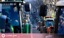 Convoquen una tractorada fins a Madrid al per exigir ajudes per la sequera