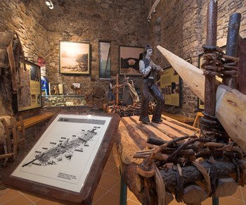 EXPOSICIÓ DELS RAIERS