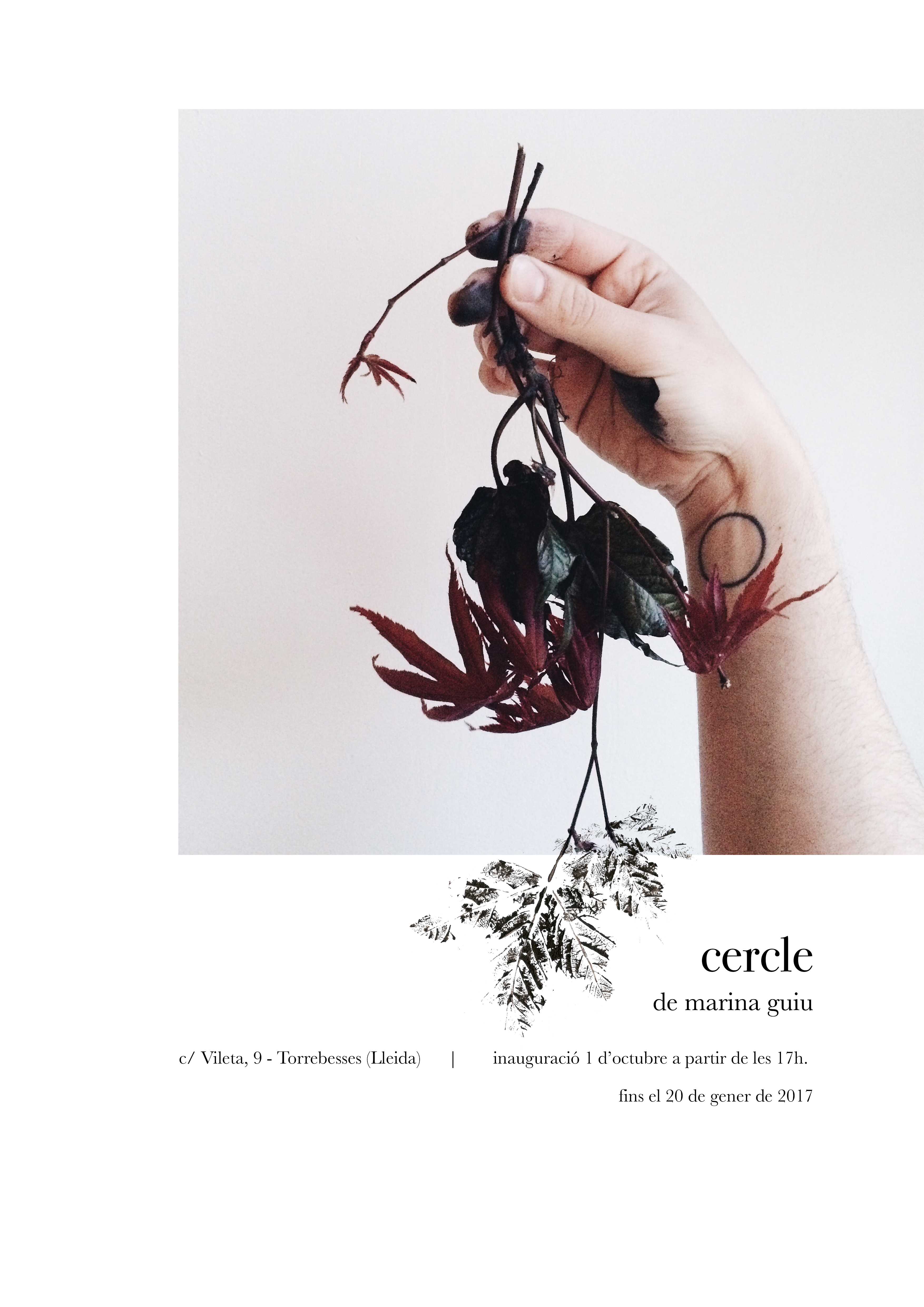 EXPOSICIÓ CERCLE, MARINA GUIU
