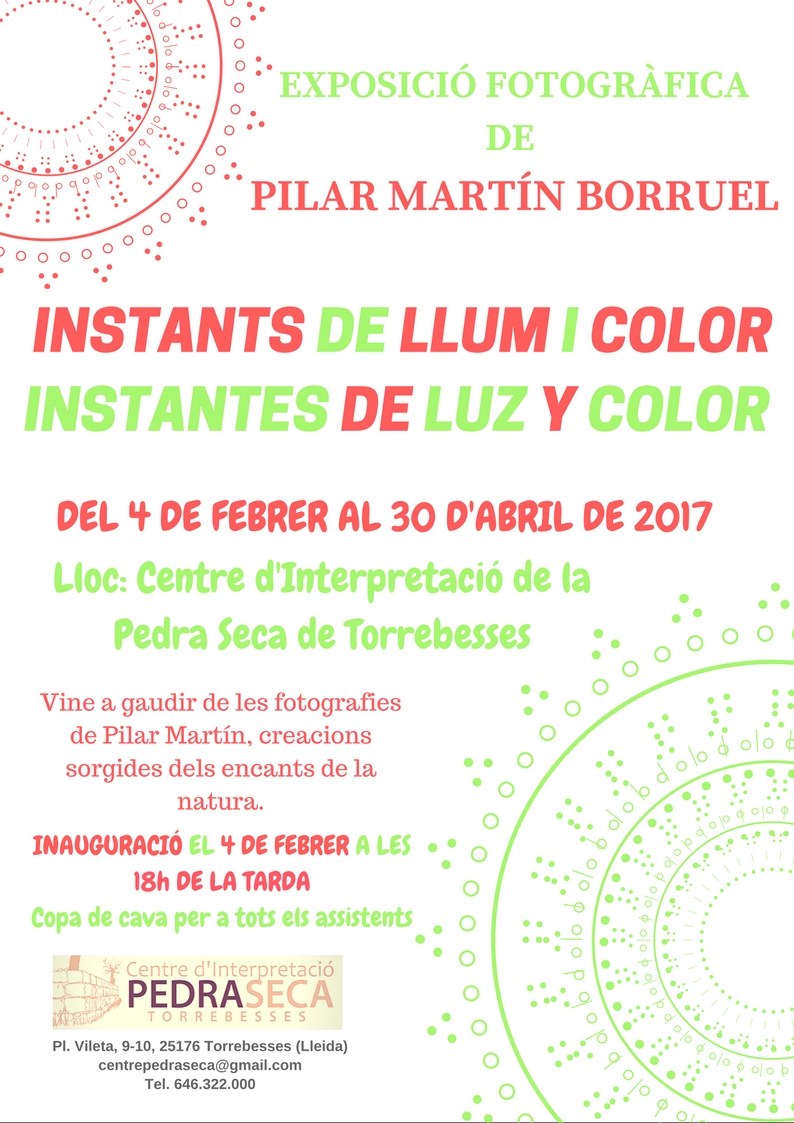 EXPOSICIÓ INSTANTS DE LLUM I COLOR