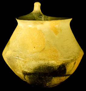 Tenalla de Genó /Aitona. (el Segrià)