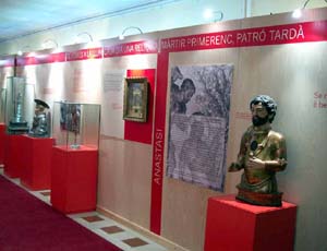 Exposicions temporals