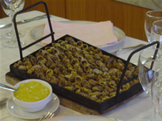 ESPECIALITATS