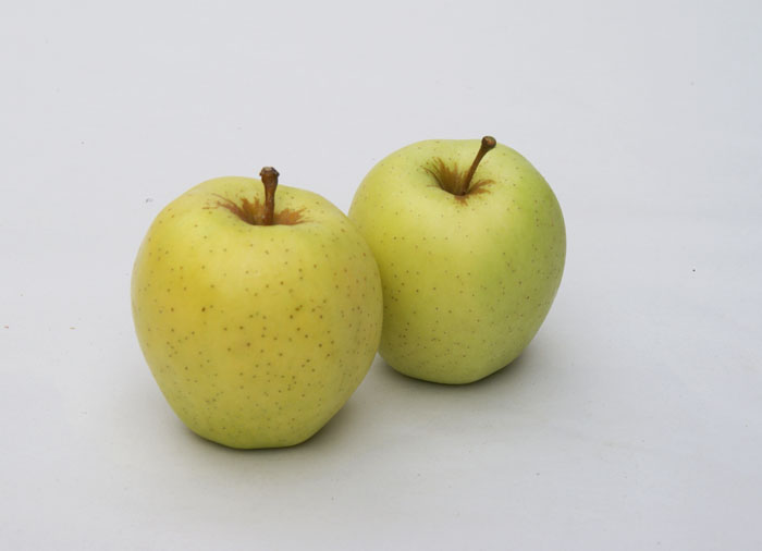 POMES