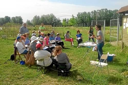 Els hortolans de Rufea aprenen a conrear plantes medicinals