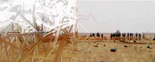 Videoart lleidatà, avui en un festival a Nova York