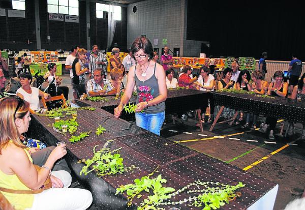 La festa del medi ambient reuneix 2.500 persones a Linyola