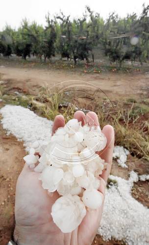 La desena pedregada de la campanya colpeja el Baix Segre i les Garrigues