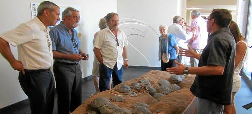 Coll de Nargó exposarà ous i cries de dinosaures de tot el món
