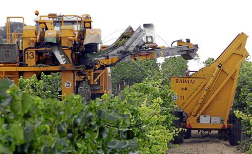 El Govern regularà les construccions en cellers de totes les DO del vi
