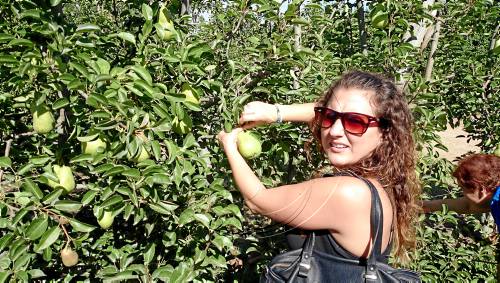 Pera de Lleida exhibeix la qualitat de la fruita lleidatana davant dels atacs francesos