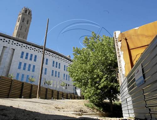 Un maltractador s'amaga de la policia en unes bardisses