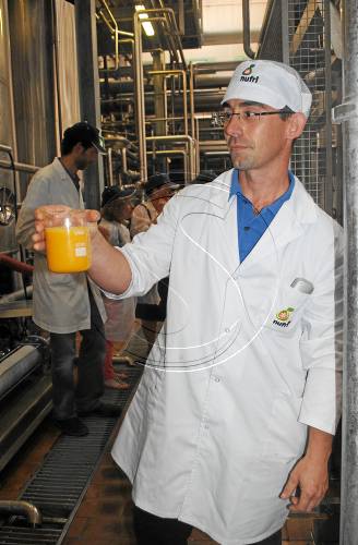 Arranca la retirada de fruita de pinyol pel preu ruïnós i el sector demana més