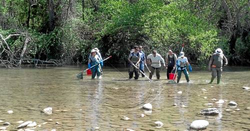 La Mitjana rep 40.000 visitants de gener a juliol