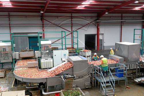 Fruits de Ponent obre mercat per a la seua fruita de pinyol a Malàisia