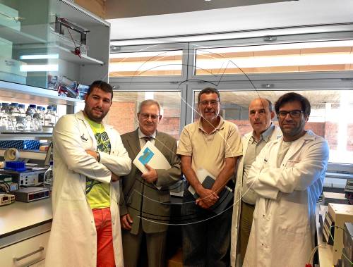 Beca per investigar el càncer a l'IRB