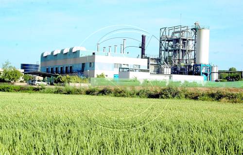 Proposen reobrir 2 plantes de purins per generar electricitat amb biogàs