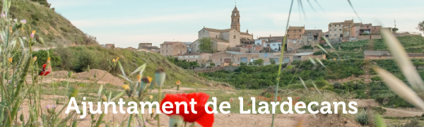 Llardecans
