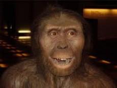 Las Relatividades de Einstein explicadas por un australopithecus afarensis (1)
