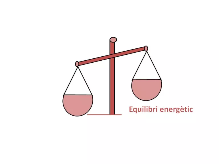 Ingesta = Metabolisme Basal + Termogènesis + Activitat Física
