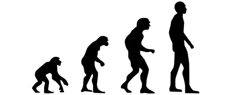Los chimpancés también son republicanos