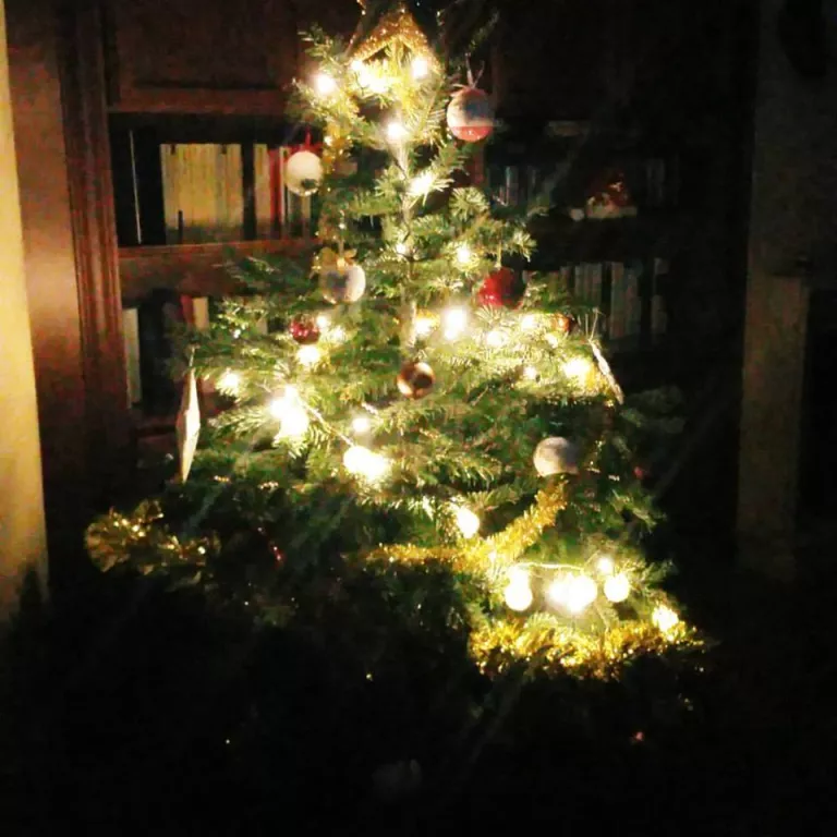 Y la Navidad