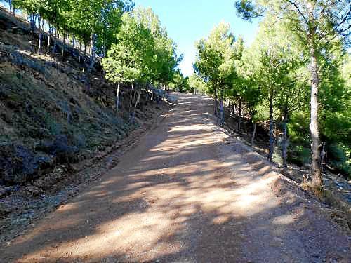 Recuperen dos espais naturals a Alpicat i el Vilosell