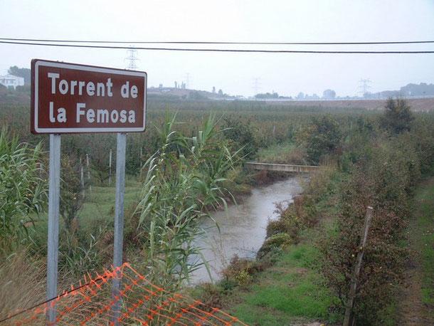 Medi Ambient, Patrimoni i desídia política