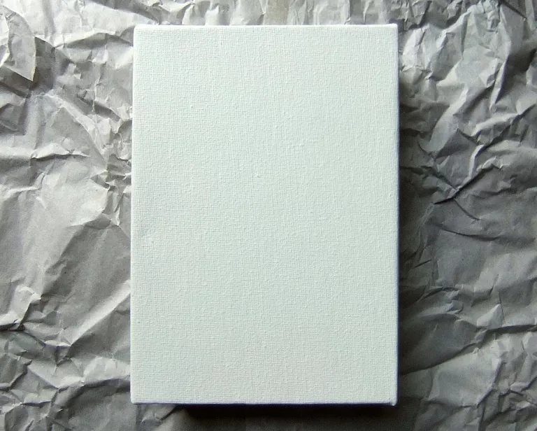 Una tela en blanc
