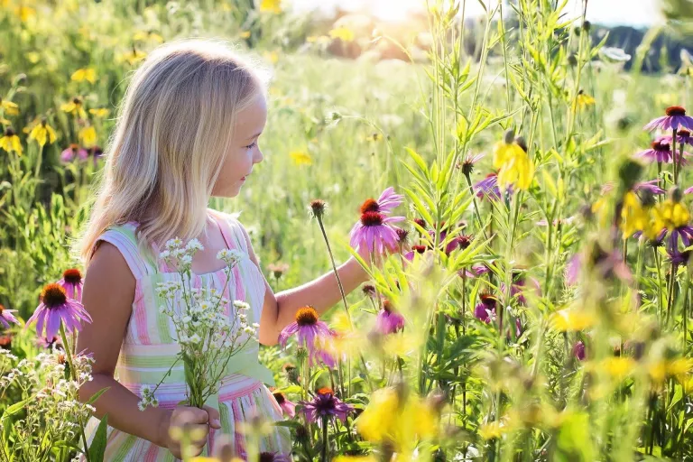 Sensibilitat ecològica