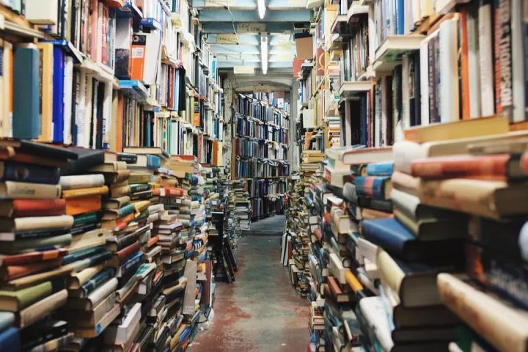Una llengua per traduir