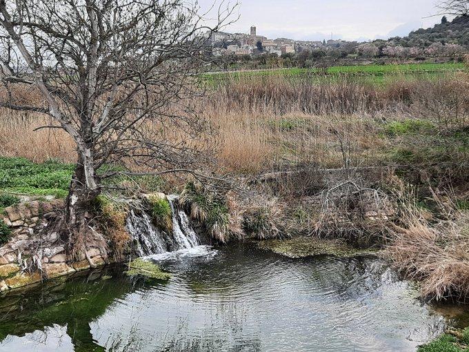 Les peixeres de la Vall del Corb
